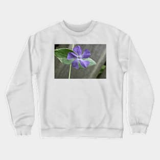 Lavender Vine Flower Against Fence Post Photographic Image Crewneck Sweatshirt